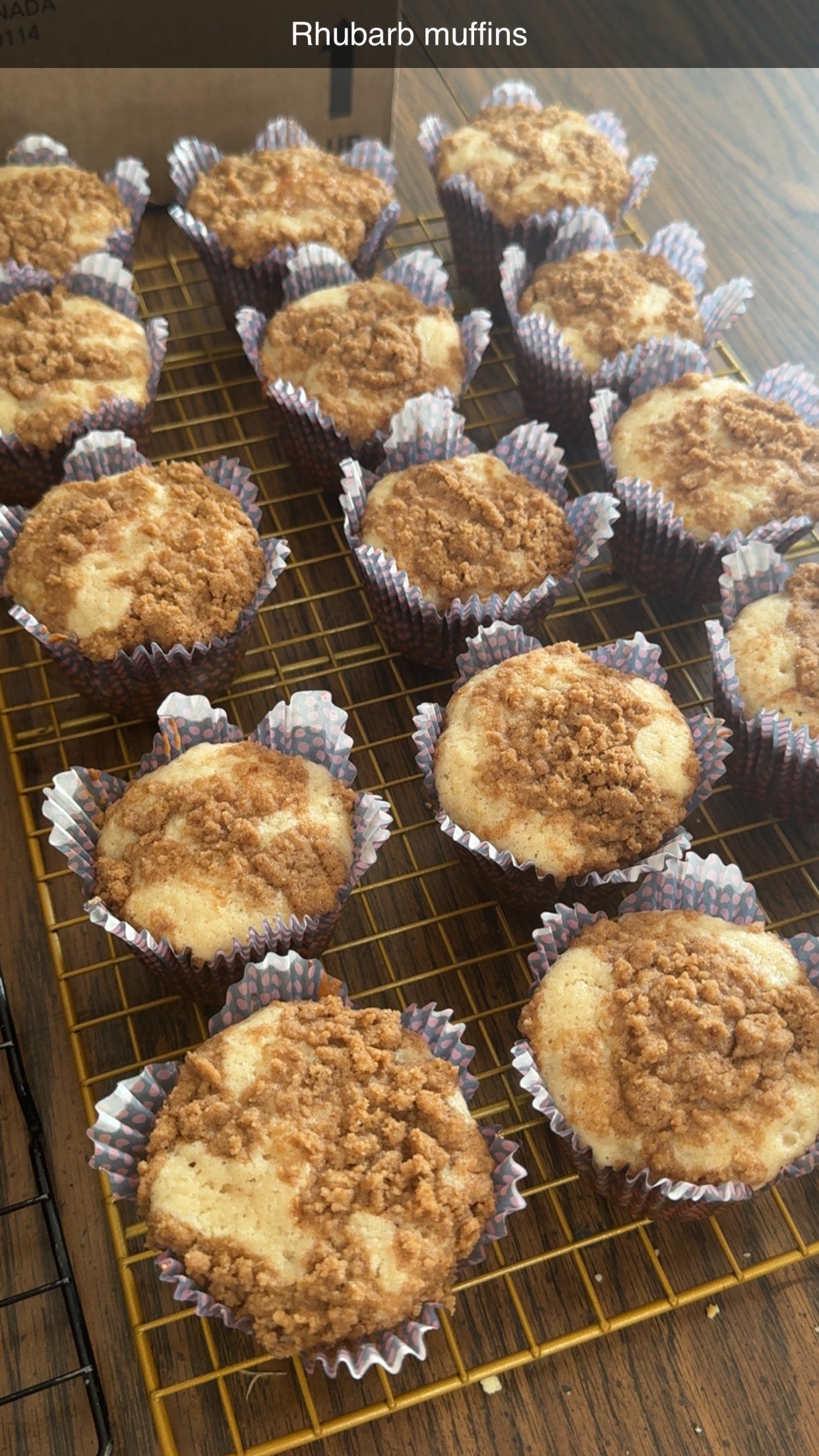 Rhubarb muffins